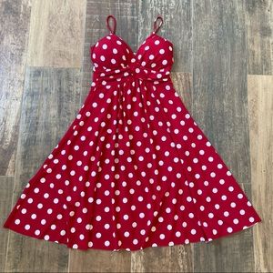 Red Polka Dot Colori Skater Dress
